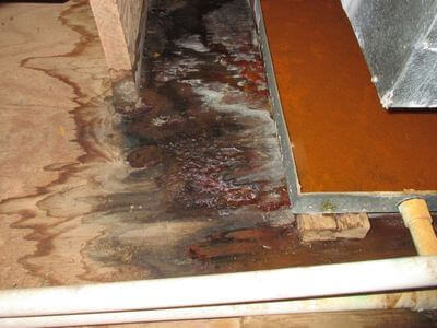 About Spirion Homes - water damage restoration experts in Temple